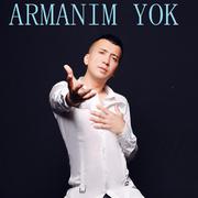 Armanim yok 别无所求