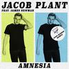 Jacob Plant - Amnesia (feat. James Newman) (Just Kiddin Remix Edit)