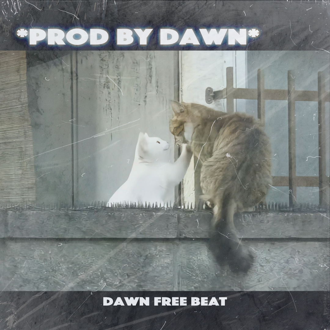 *Long for love* 情绪旋律说唱 beat & FREE