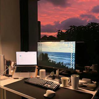 花瓣飘落时｜轻柔白噪音冥想