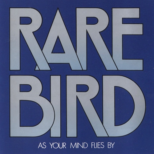 As Your Mind Flies By