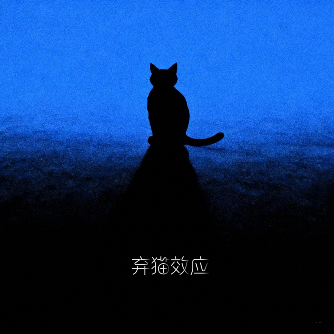 弃猫效应（我总问自己）