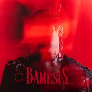 BAMESIS