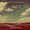 Dane Brown - Rose on the Prairie