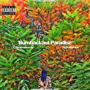 BumbacLast Paradise