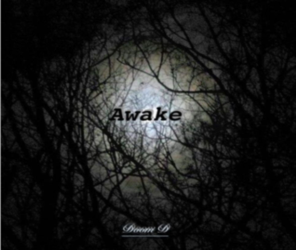 Awake专辑