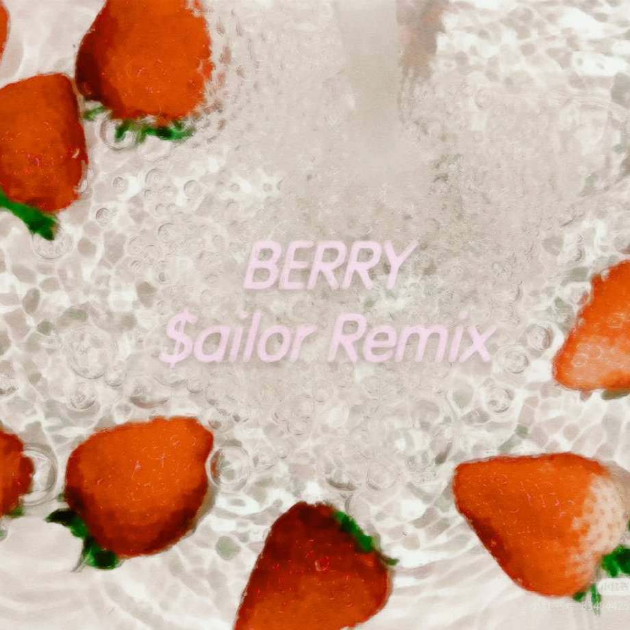 Sailor谷启航 - 李佳隆-BERRY（$ailor remix）