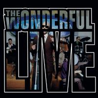 Wonderful Life （原版立体声带和声）