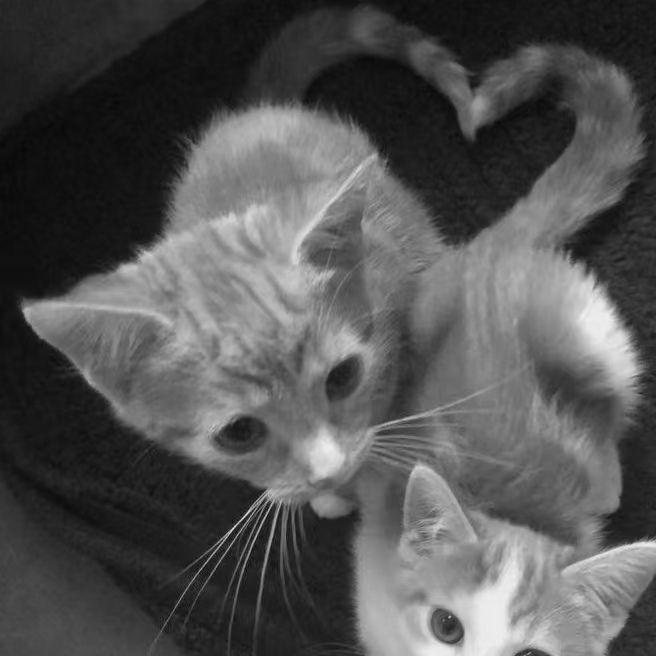 “纪念” SASIOVERLXRD × Sadpiano × Vocal Type Beat