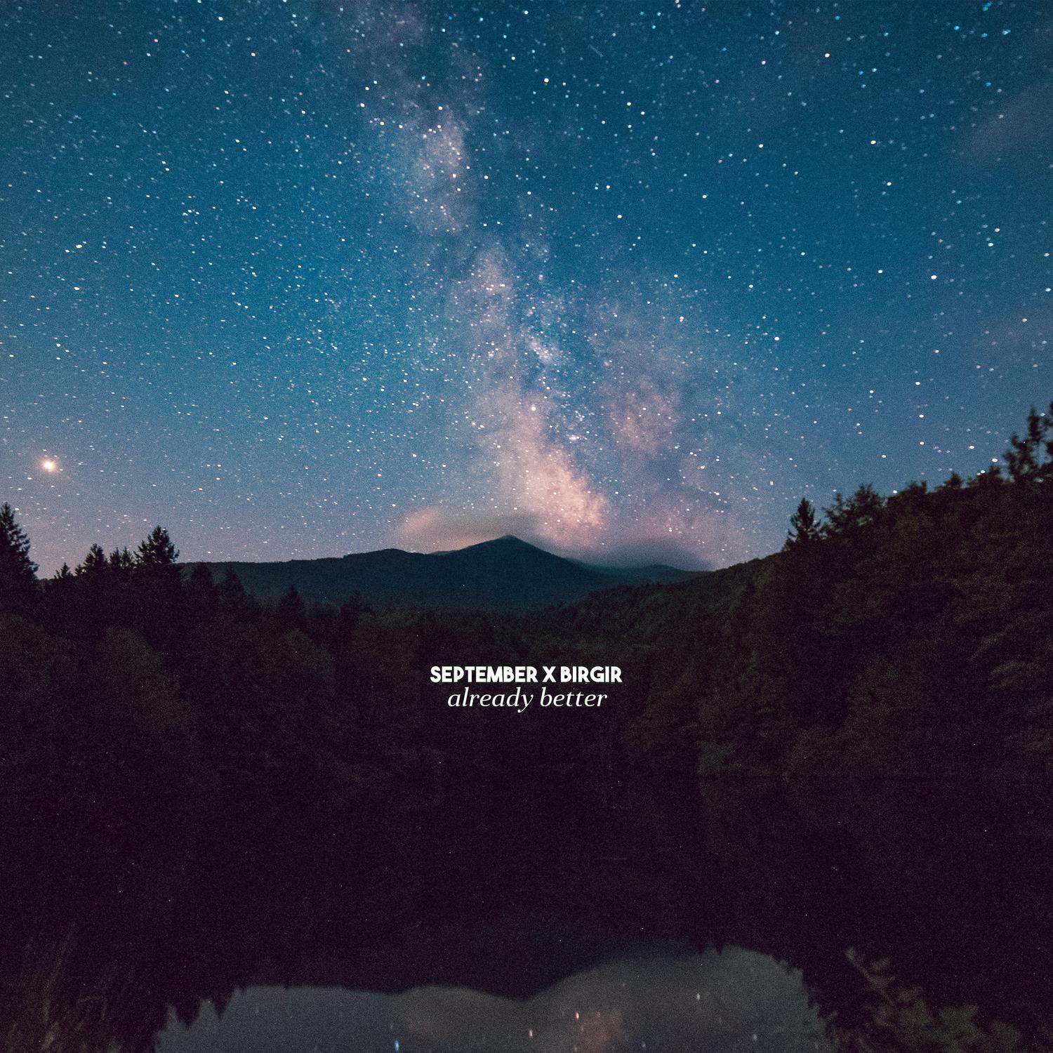 Already Better (feat. Birgir)