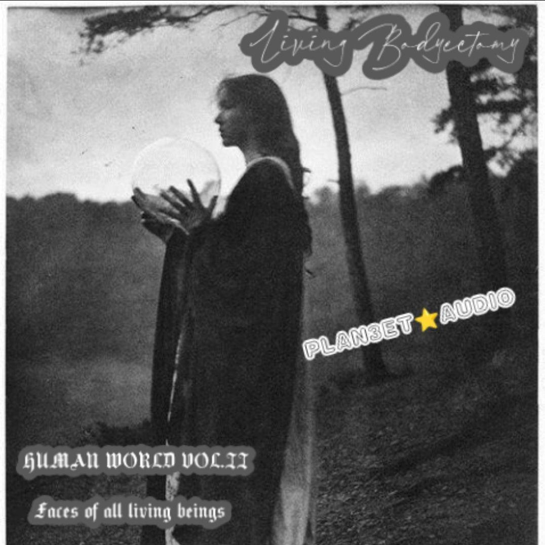 PLAN3ET AUDIO叁星社歌曲封面