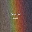 Never End