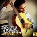 Sing - Along in the Moonlight: Indie Playlists专辑