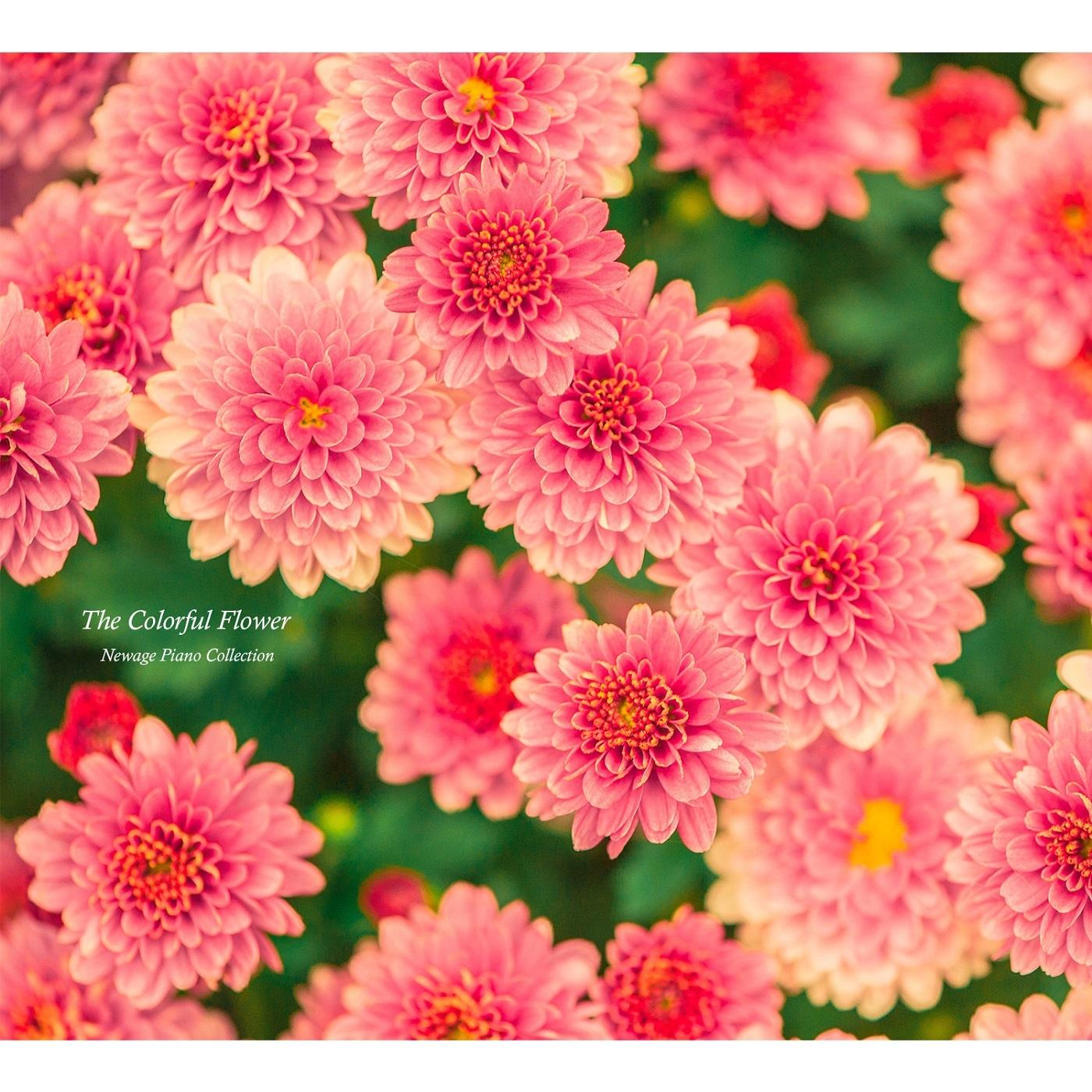 The Colorful Flower