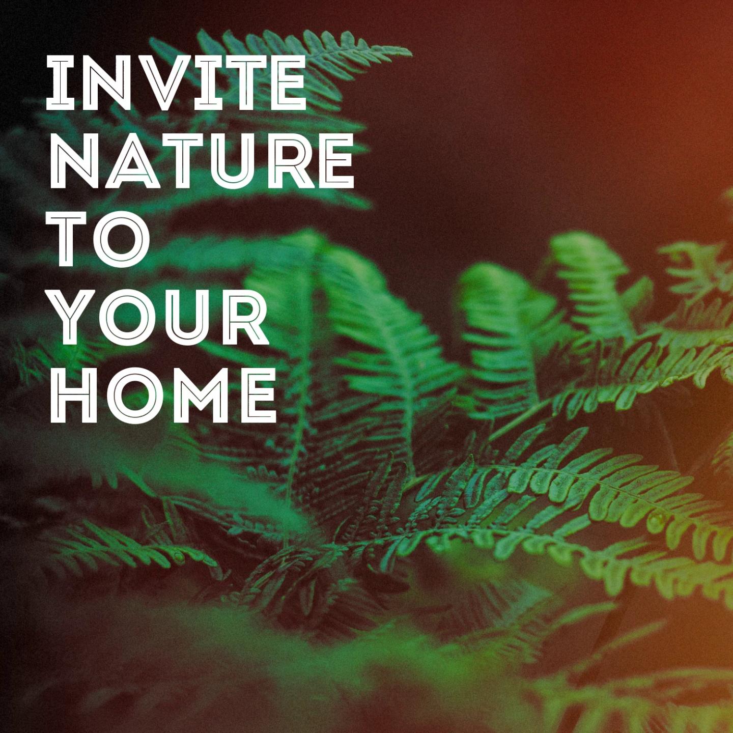 Invite Nature to Your Home专辑