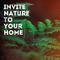 Invite Nature to Your Home专辑