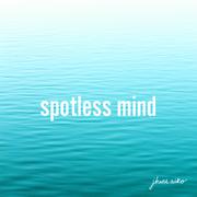 Spotless Mind