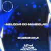 DJ ADRIAN DO LN - MELODIA DO MANDELAO