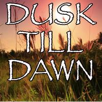 Dusk Till Dawn -  Zayn and Sia  (unofficial Instrumental)