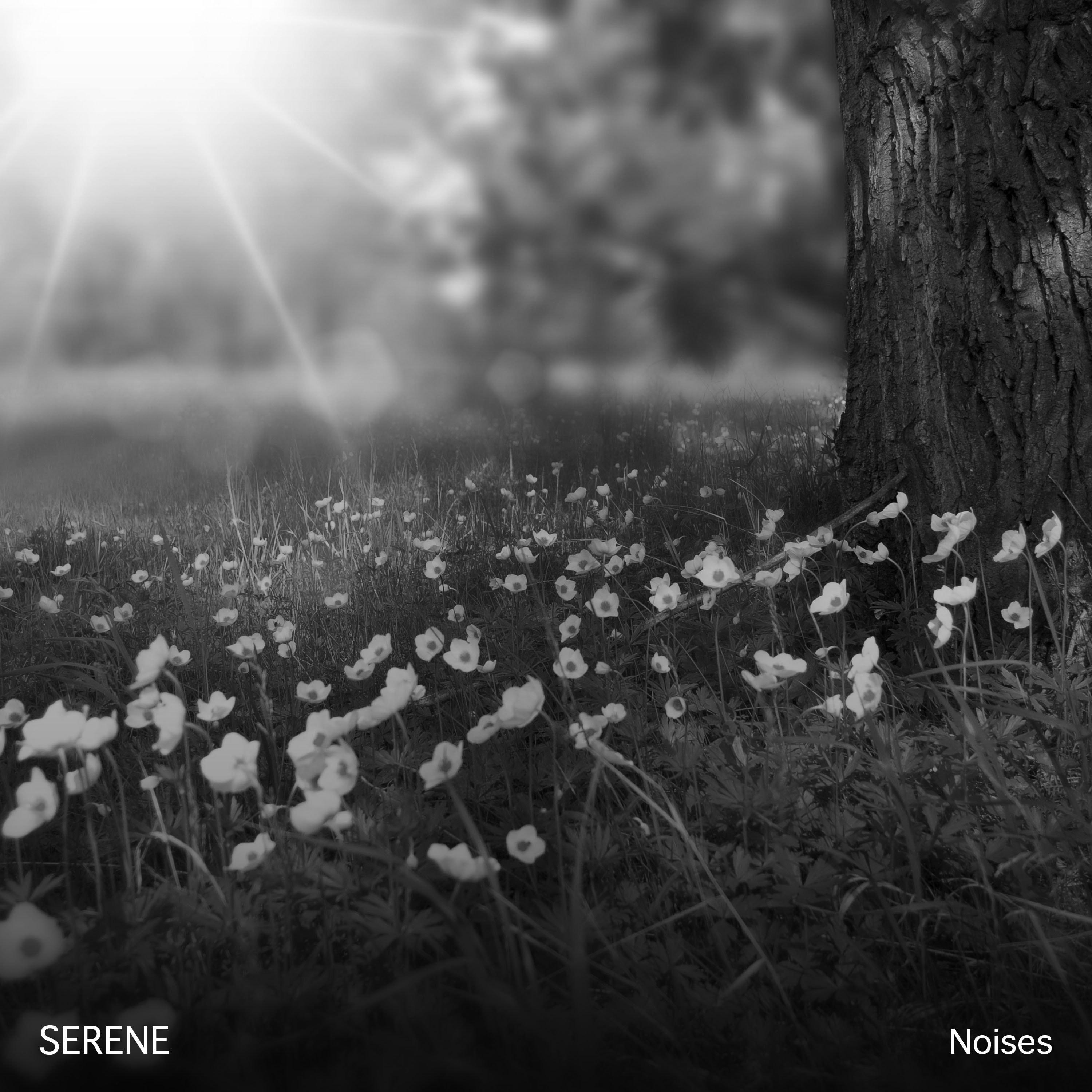 #14 Serene Noises to Invigorate Body and Soul专辑