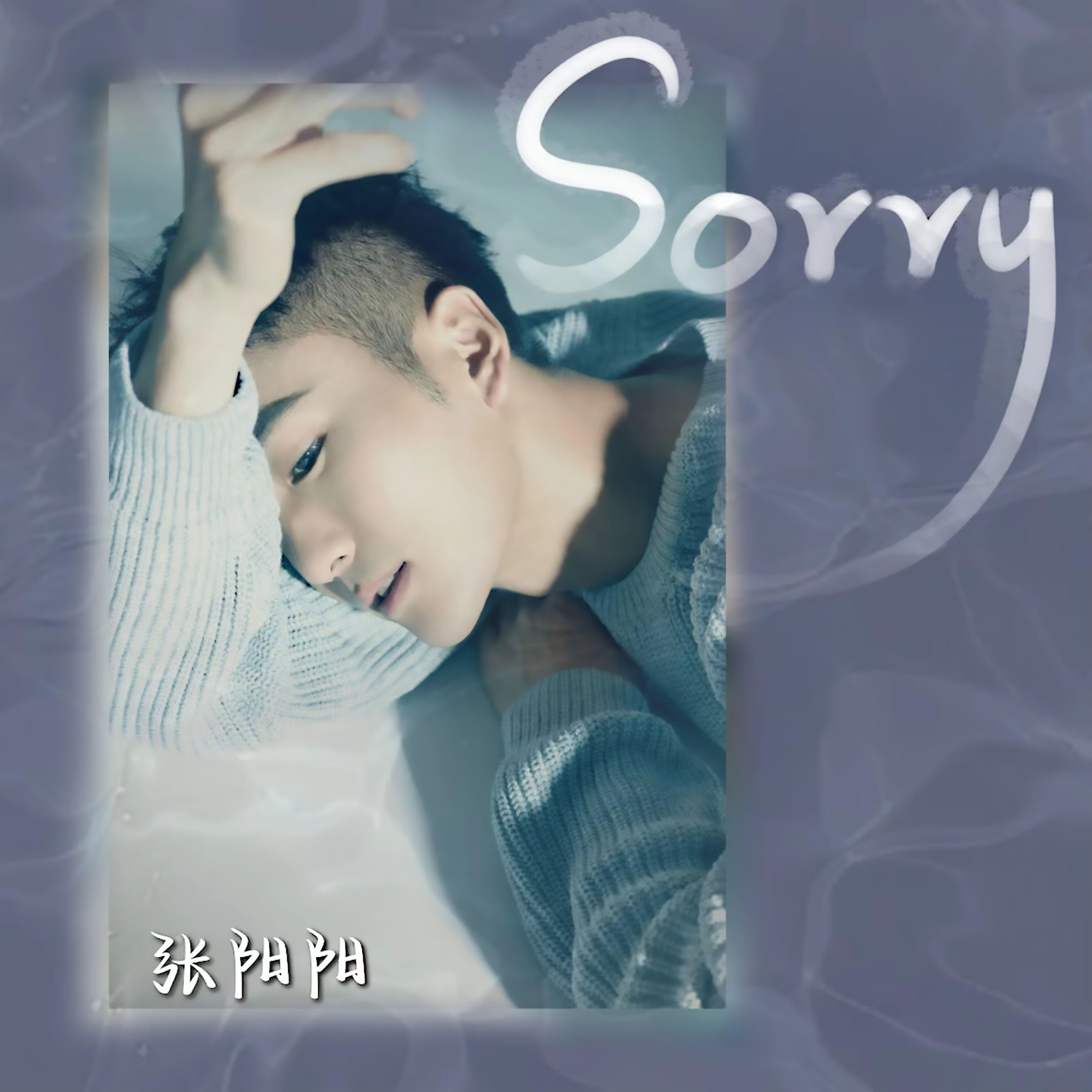 Sorry专辑