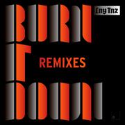 Burn It Down (Remixes)