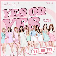 YES OR YES（中文填词）