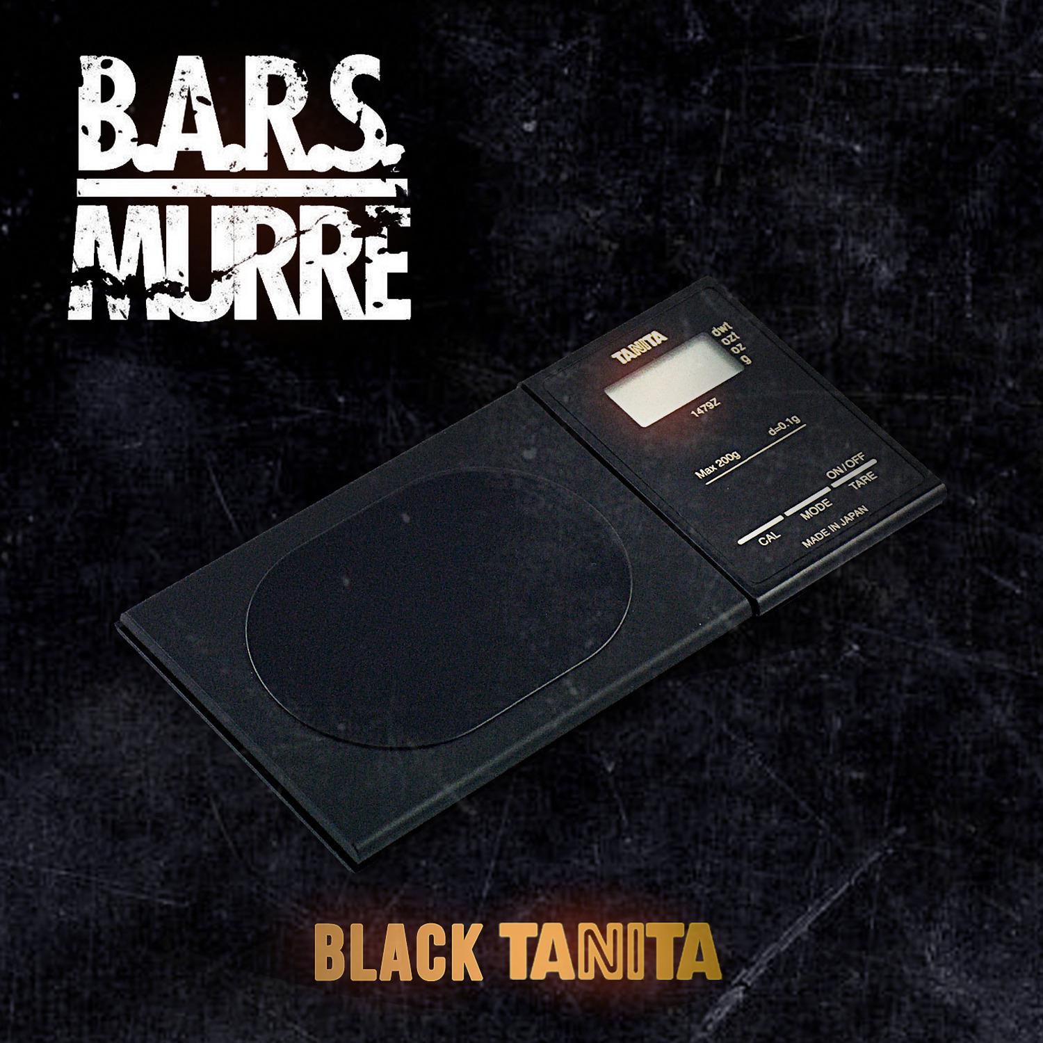 B.A.R.S. Murre - So Faded (feat. Opio)