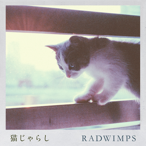 RADWIMPS - 猫じゃらし (unofficial Instrumental) 无和声伴奏