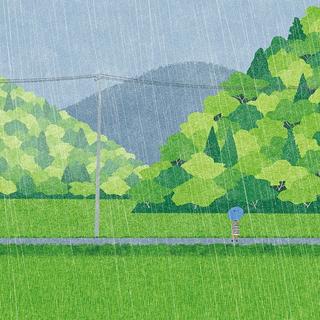 夏雨瓢泼思念成河，长路漫漫砥砺前行