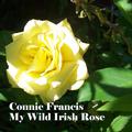 My Wild Irish Rose