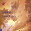 Brahms: Ein deutsches requiem专辑