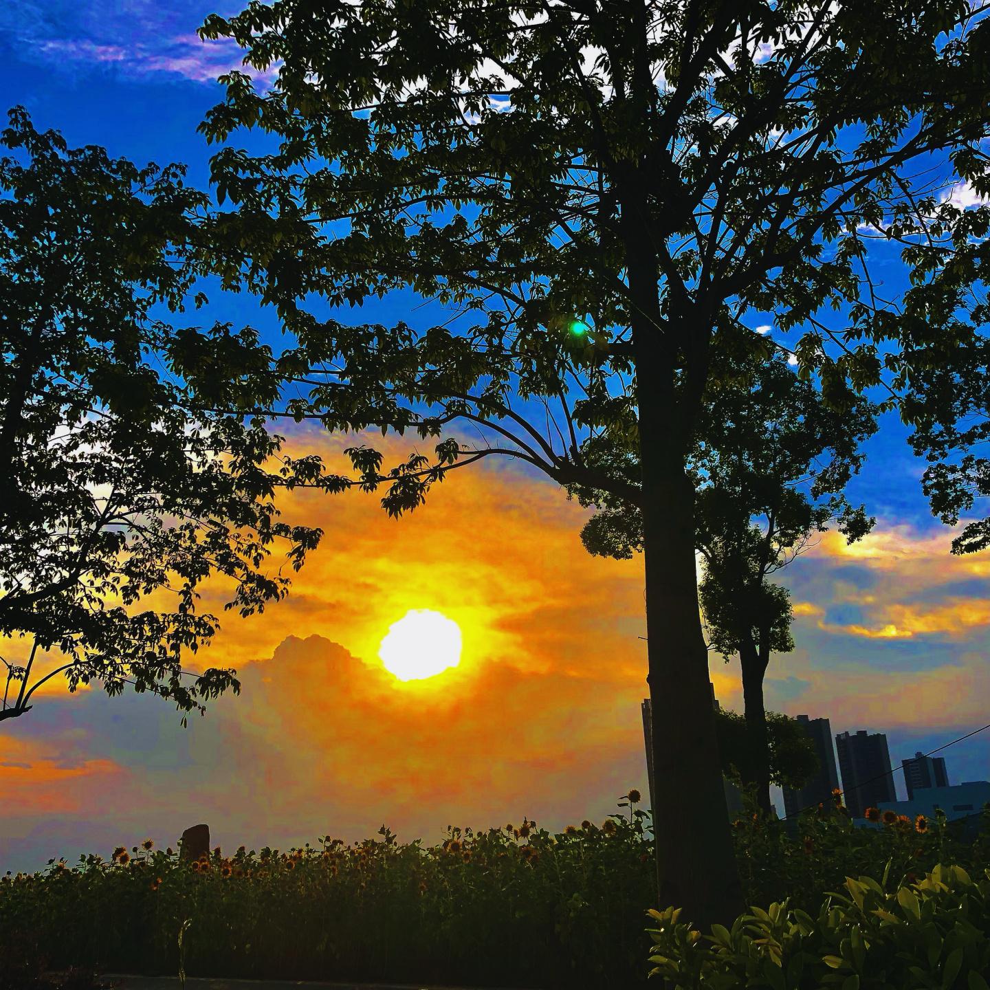 银河放克