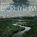 Biorhythm专辑