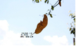 9月专辑
