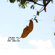 9月