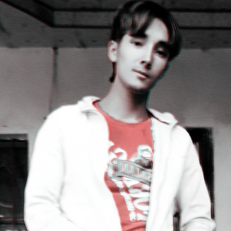 不国人间（翻自 ZaFaRim）