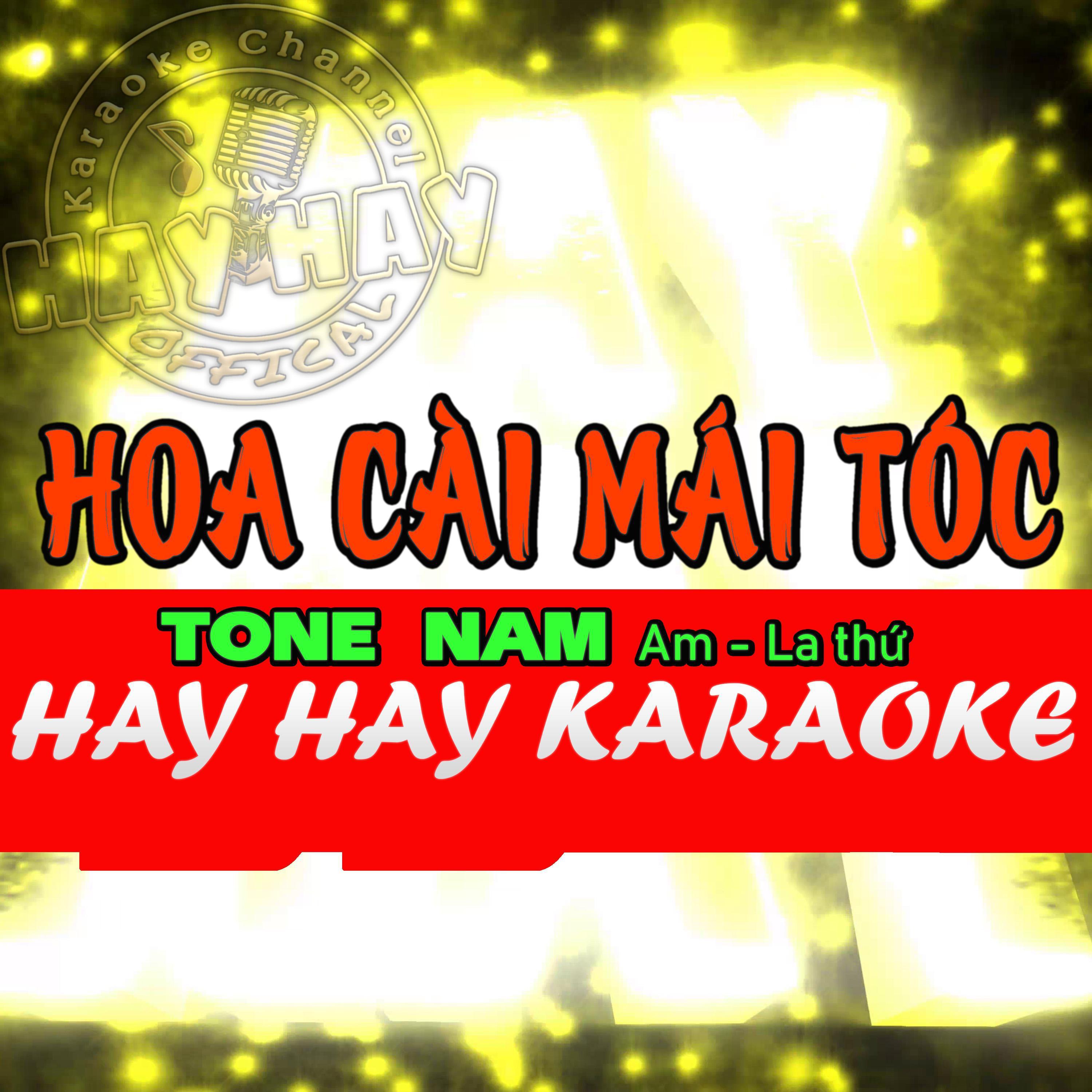 Tuấn Thành - HOA CÀI MÁI TÓC Karaoke TONE Nam (Am)