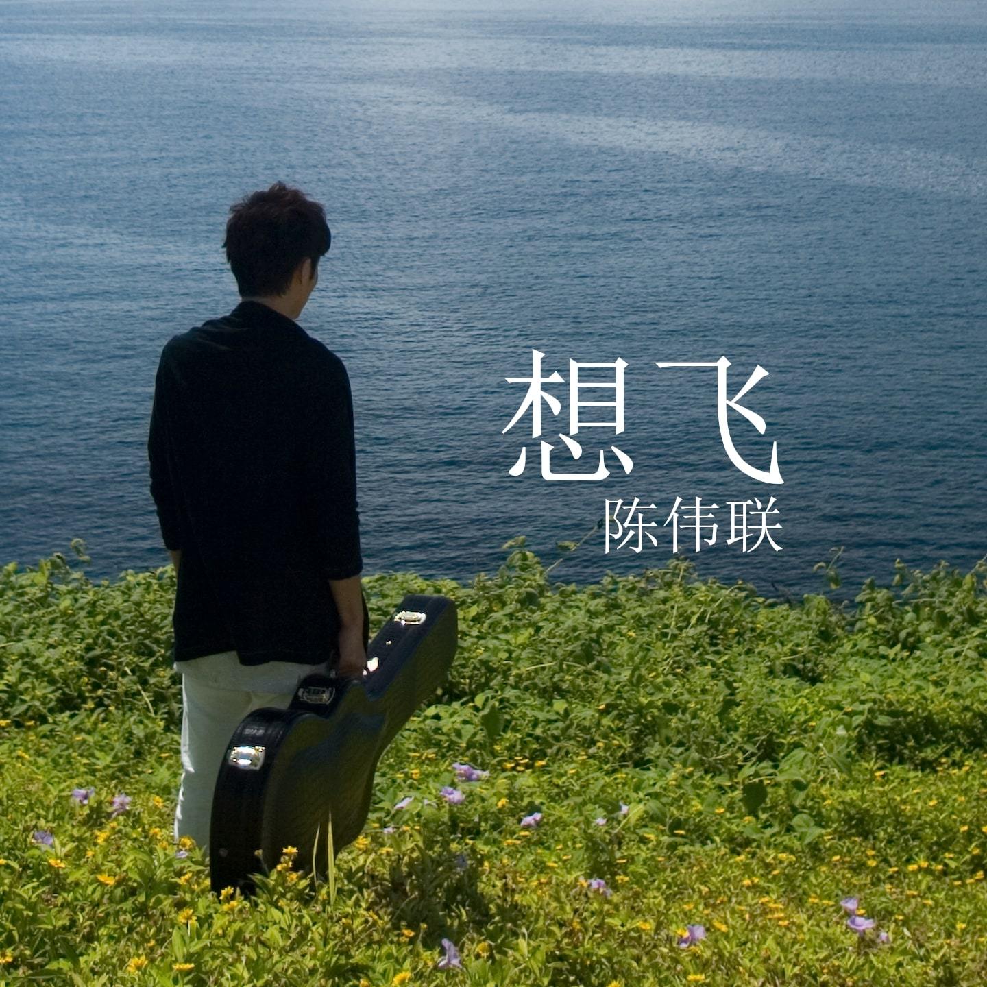 想飞