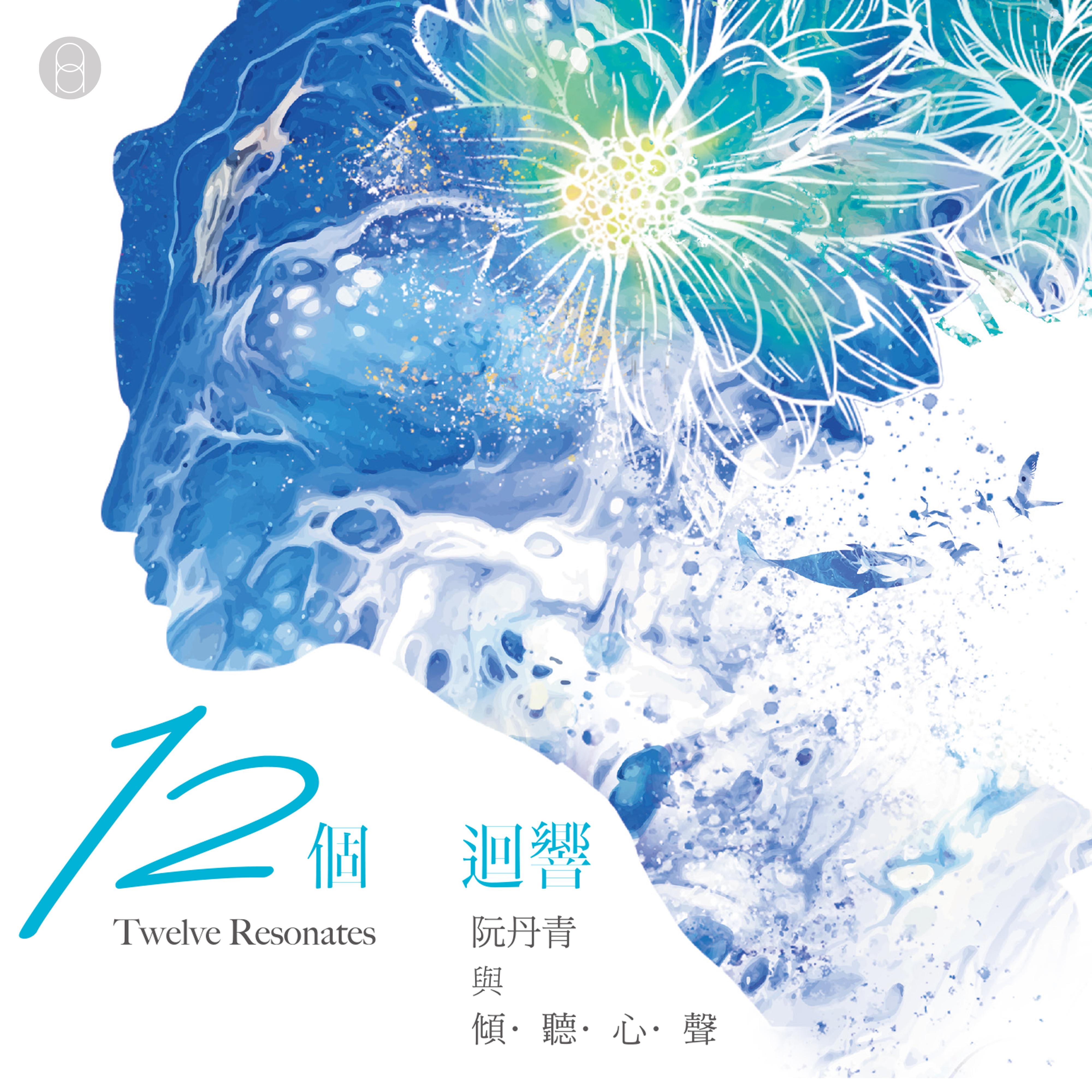 12个回响