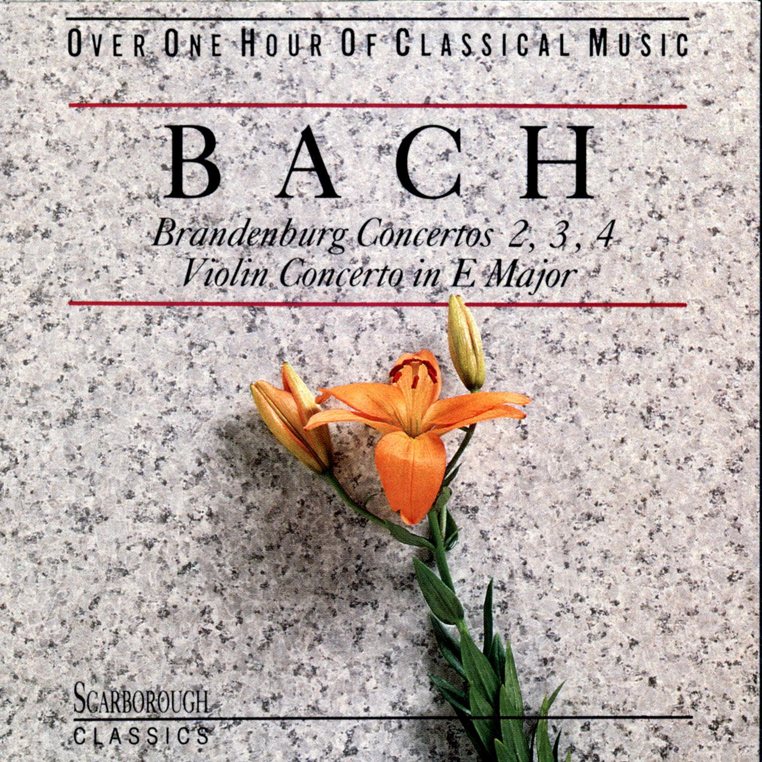 Bach: Brandenburg Concertos 2,3,4专辑