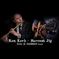 指弹改编丨凯尔特音乐 Ron Korb-Harvest Jig