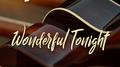 Wonderful Tonight专辑