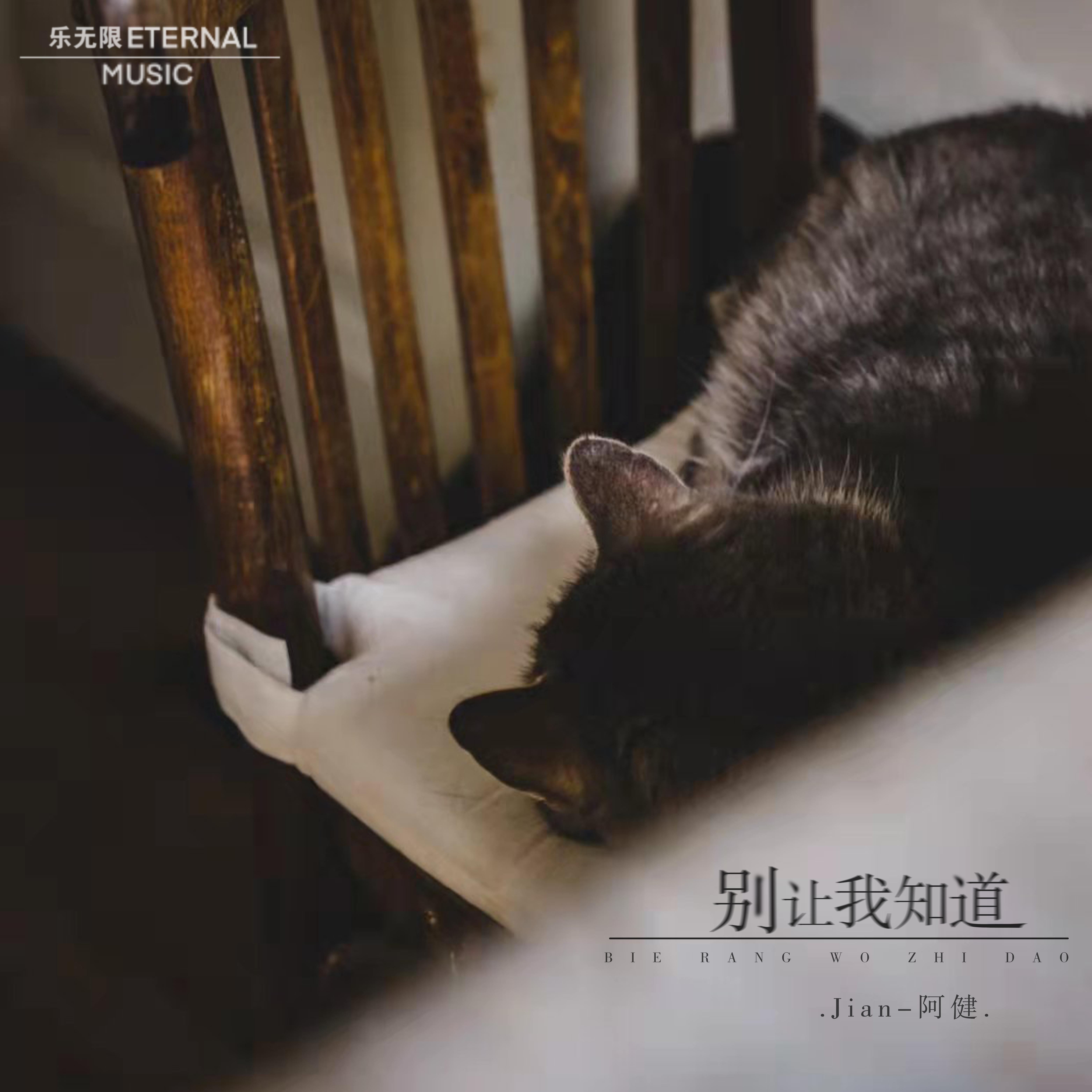 王子健歌曲封面