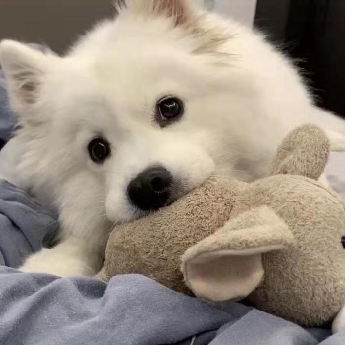 好久不见（温柔女版）