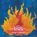 Savor Flamenco专辑
