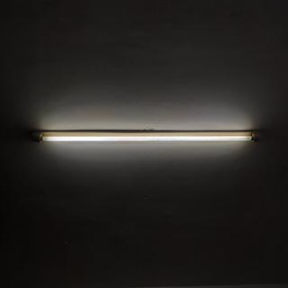 孤独梦境，独特宝藏