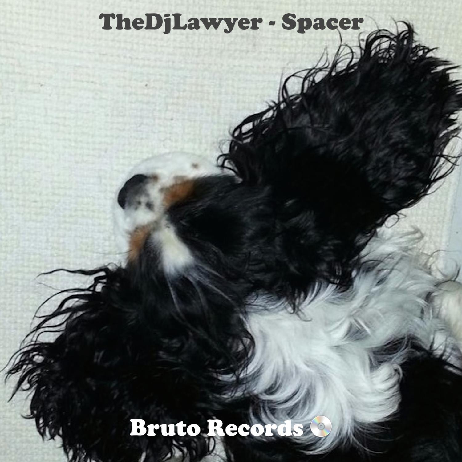 Spacer