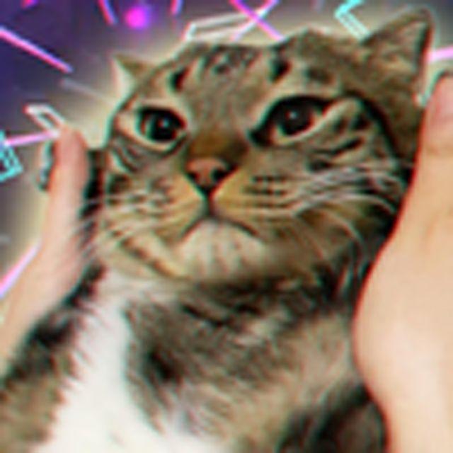 反抗没有用哒