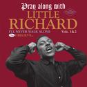 Pray Along with Little Richard, Vols. 1 & 2 (Bonus Track Version)专辑